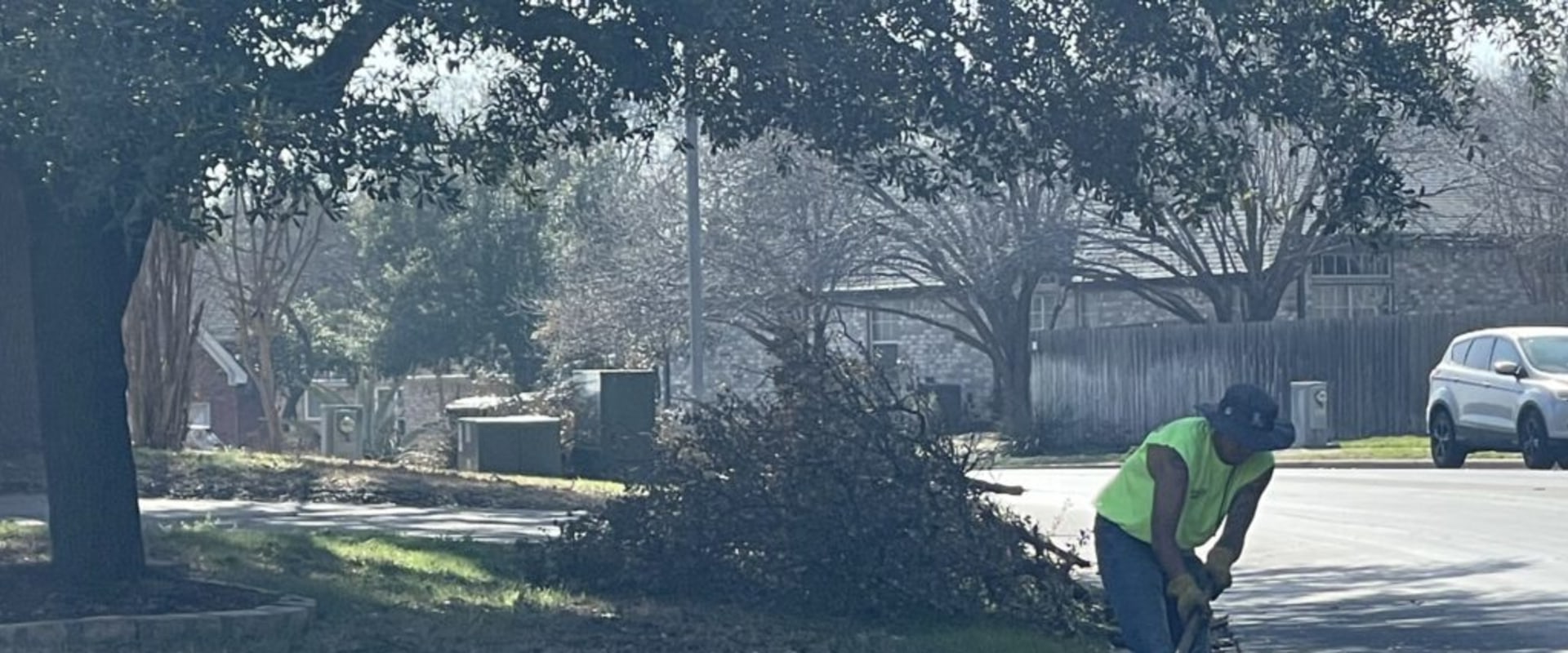 The Ins and Outs of Tree Removal Regulations in Georgetown, TX