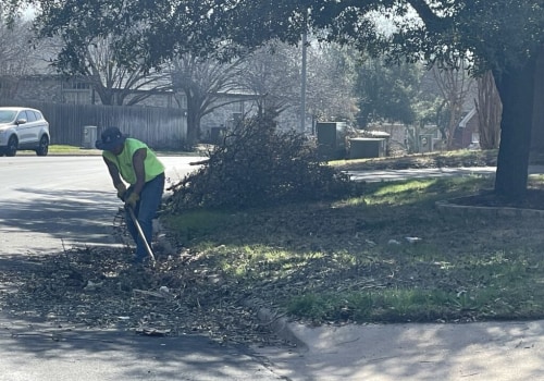 The Ins and Outs of Tree Removal Regulations in Georgetown, TX